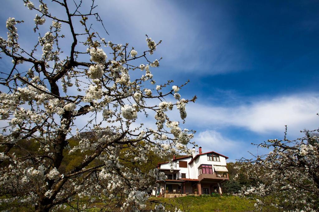 Militsa Guesthouse Naousa (Imathia) Exterior foto